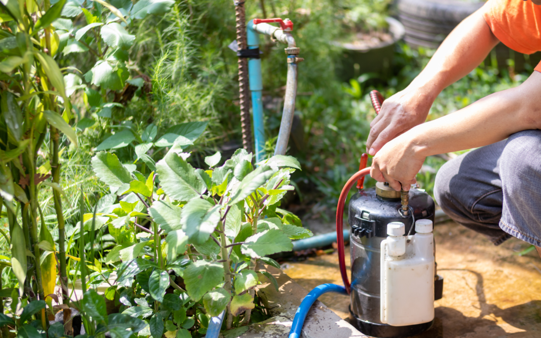 DIY Organic Pest Control: Natural Ways to Protect Your Garden Without Chemicals