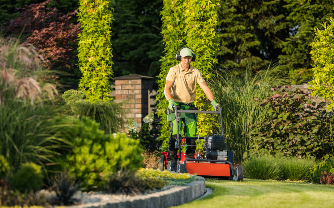 Seasonal Lawn Care: What to Do in Spring, Summer, Fall, and Winter