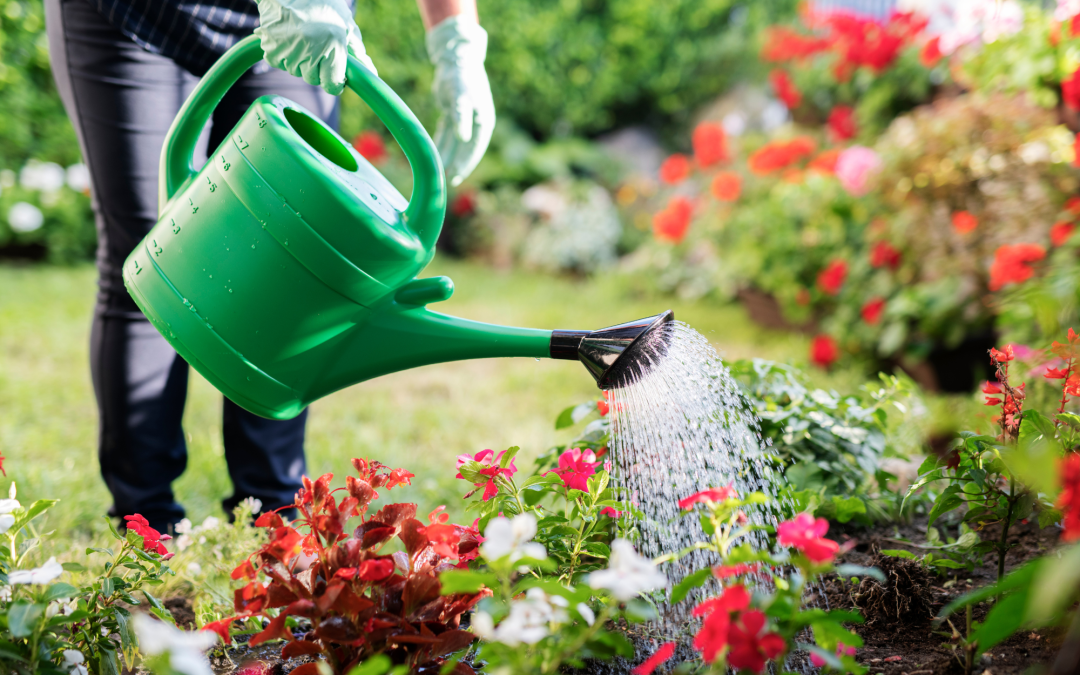 Watering Smart: How to Conserve Water While Keeping Your Lawn Green